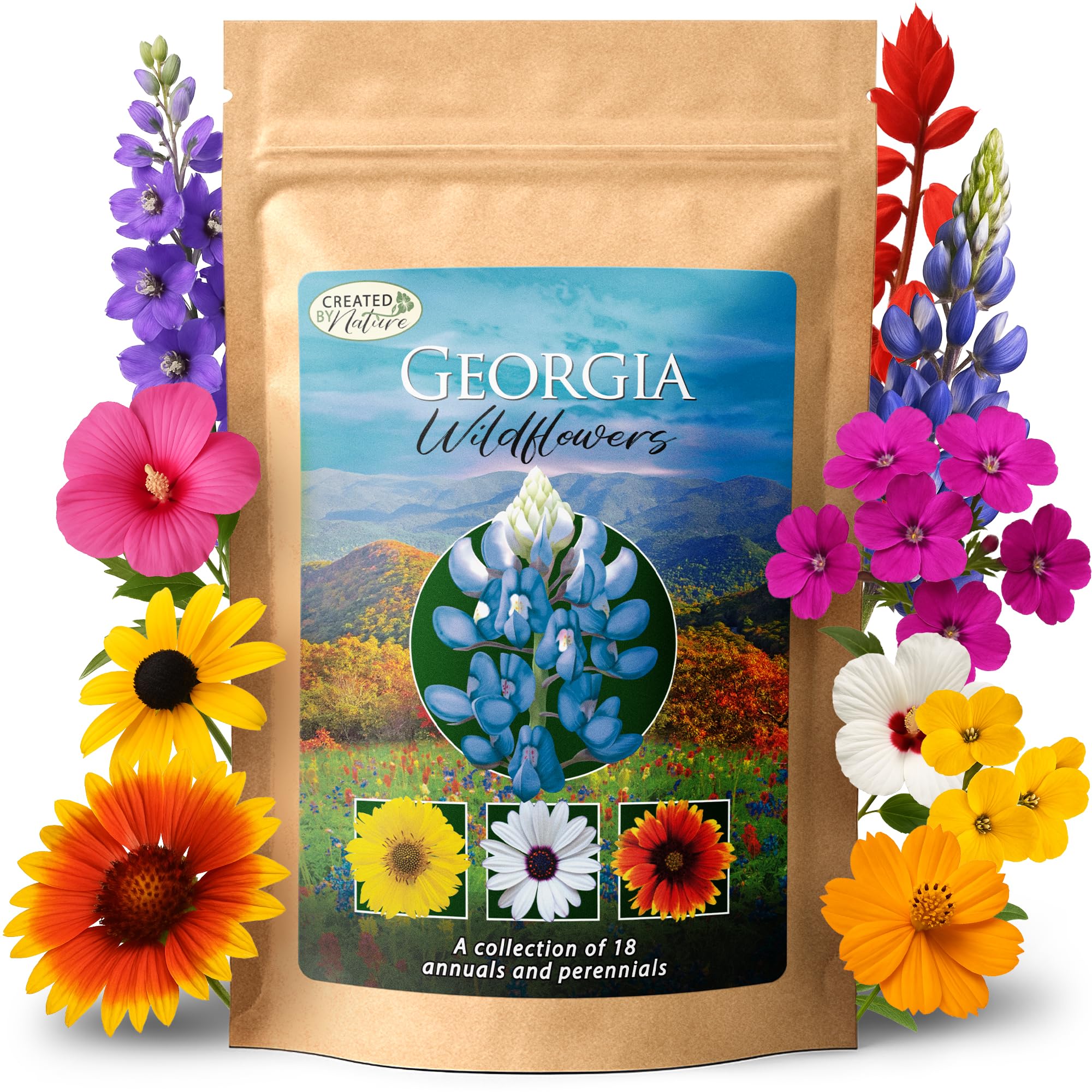 Amazon.com: Georgia Wildflower Seed Mix – Over 35,000 Flower Seeds